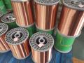 Алюминиевый многожильный провод с медным покрытием
